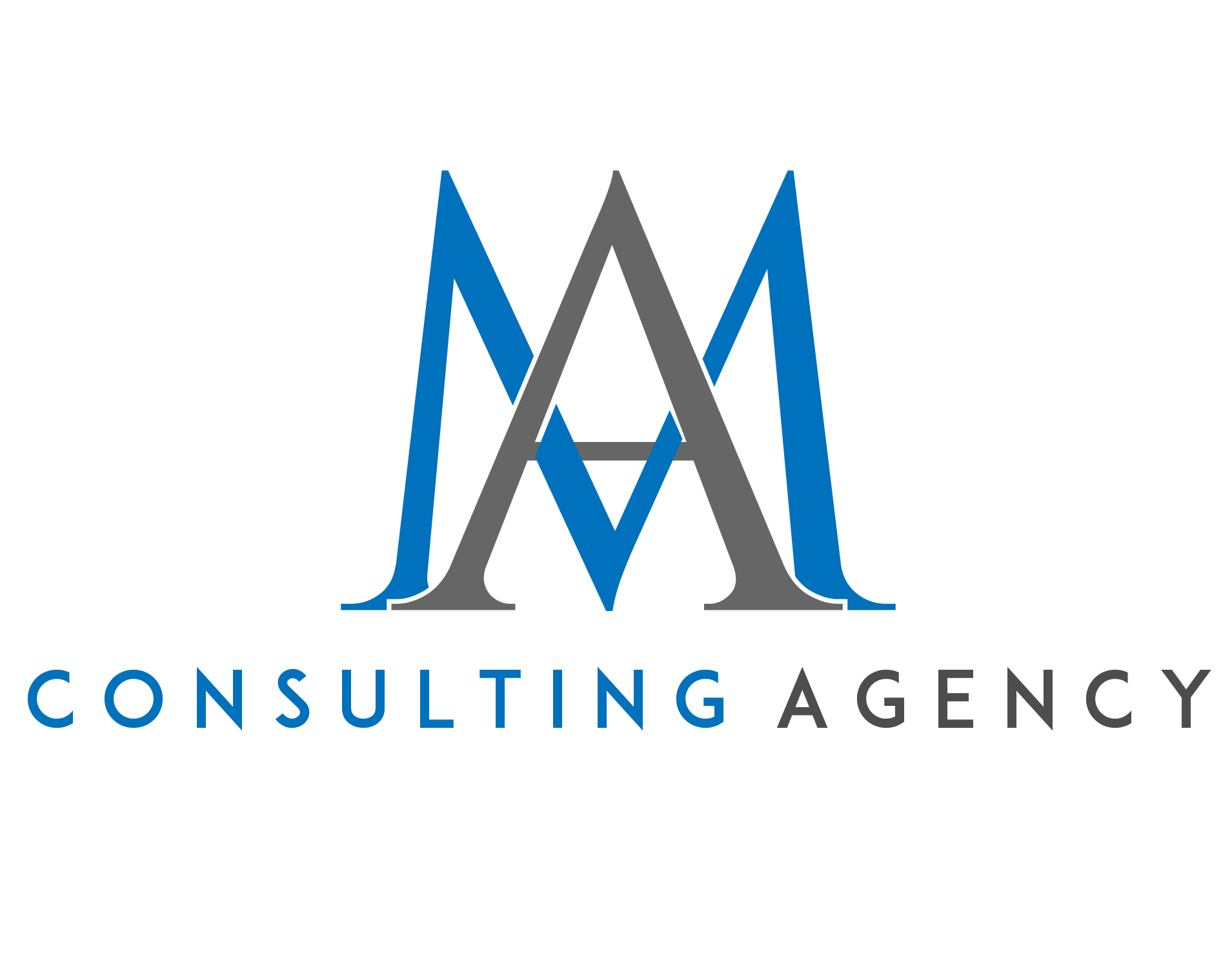 A&M Consulting Agency